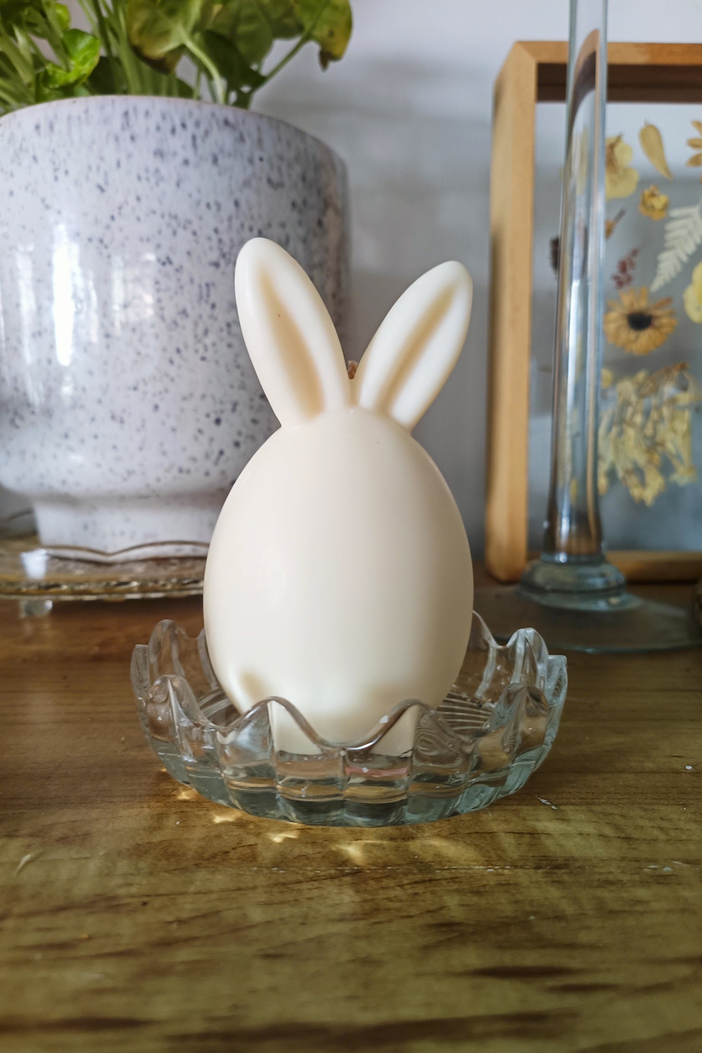 Bunny Eggs