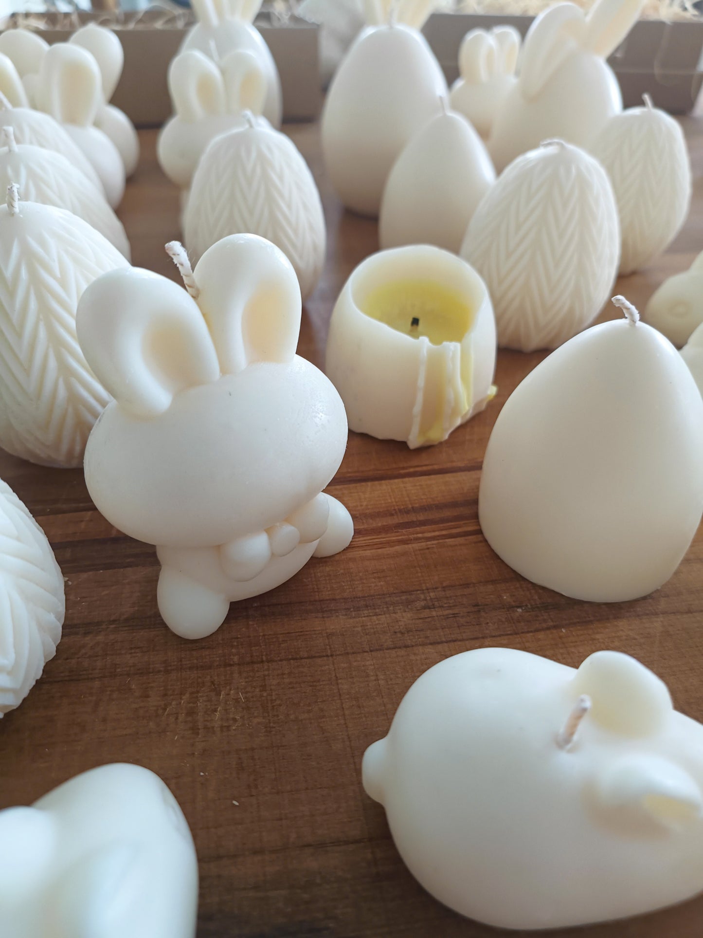 Peter the Bunny Rabbit