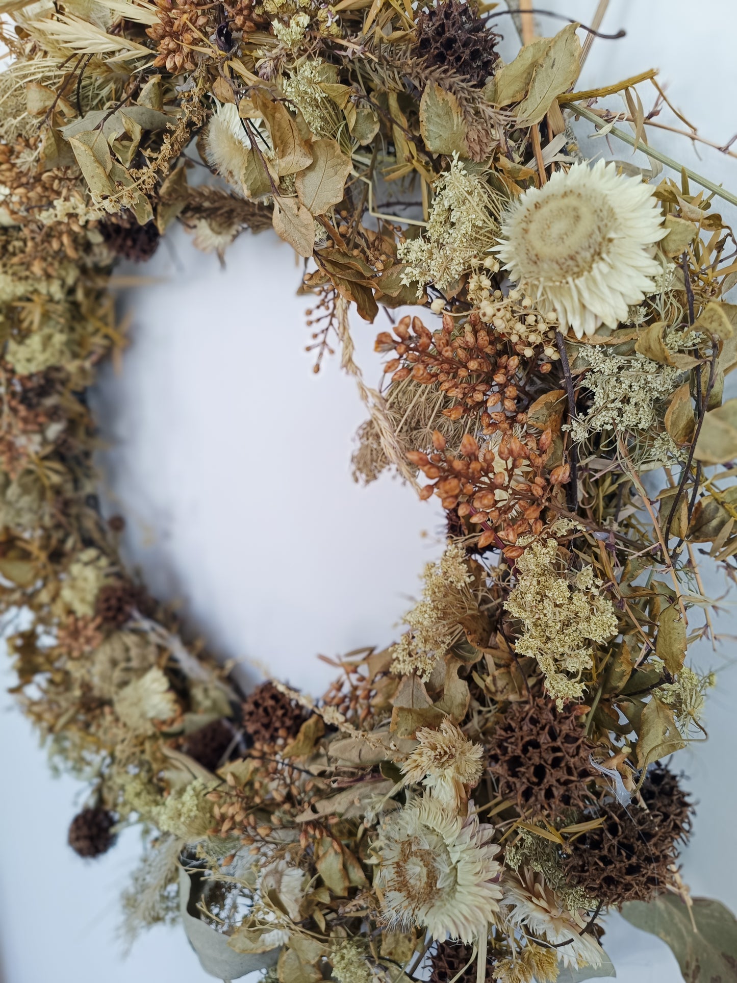 Dried Flower Wreath | Champagne Zest