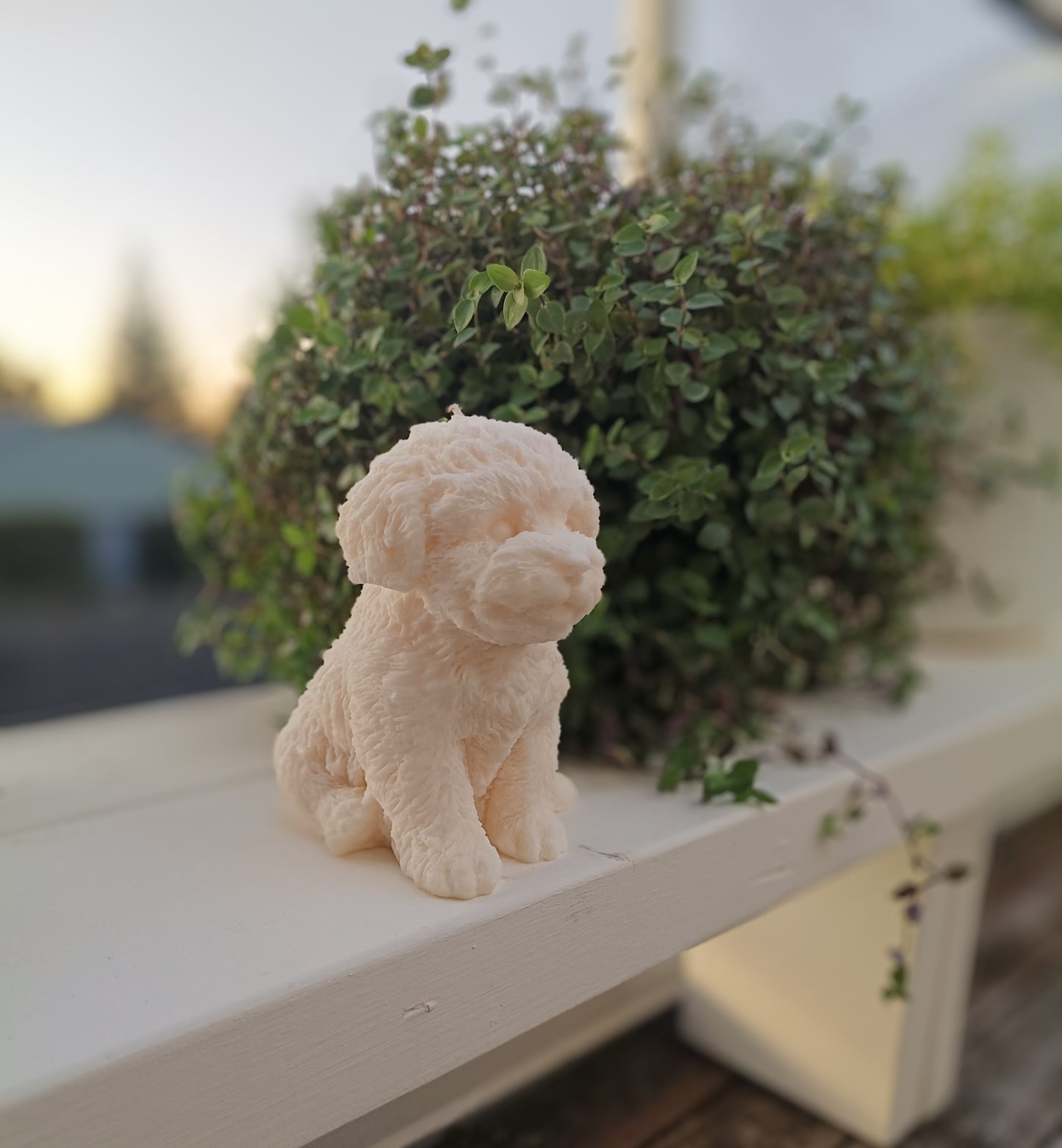 Buddy | Dog Sculpture Candle