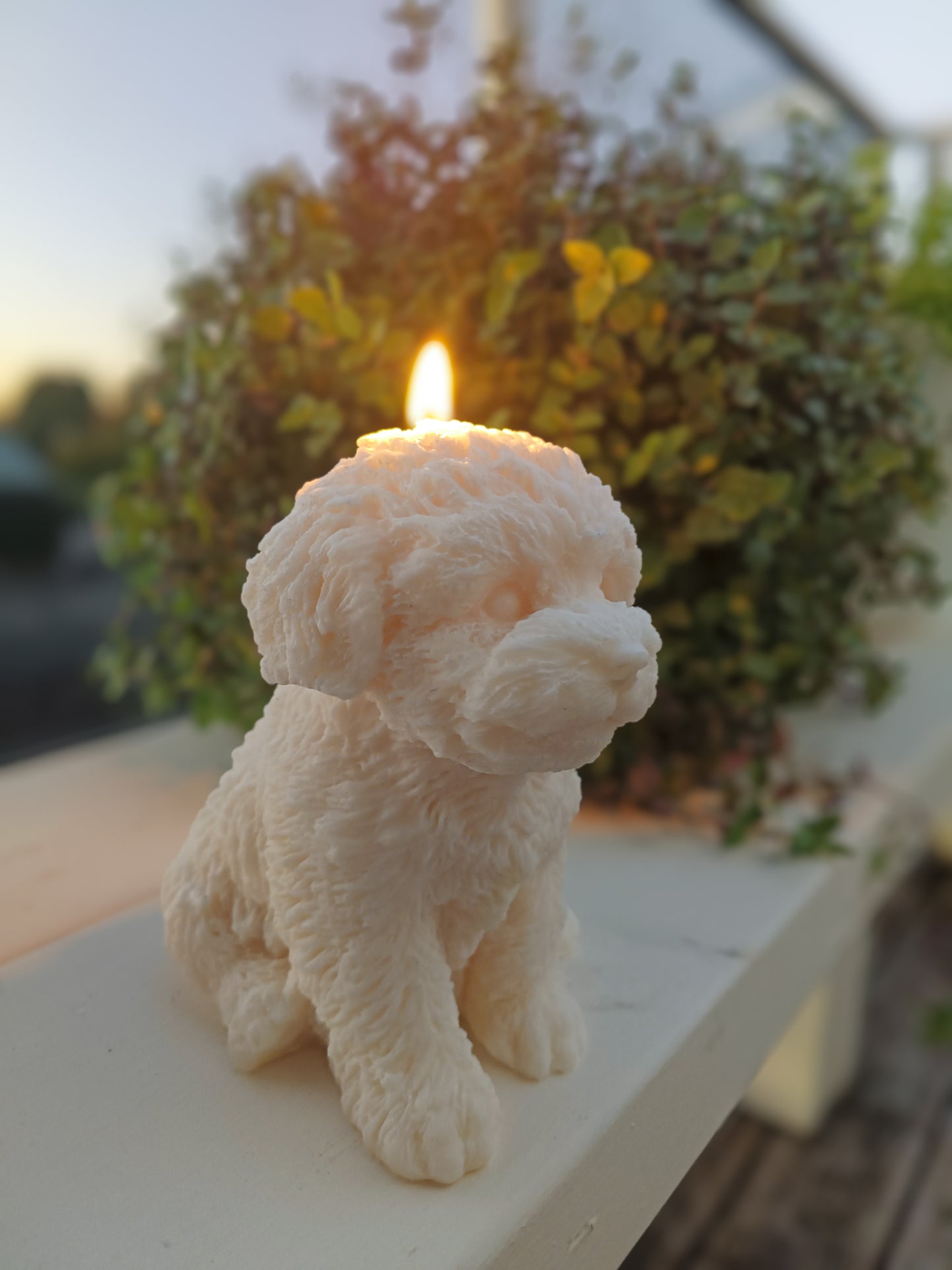 Buddy | Dog Sculpture Candle
