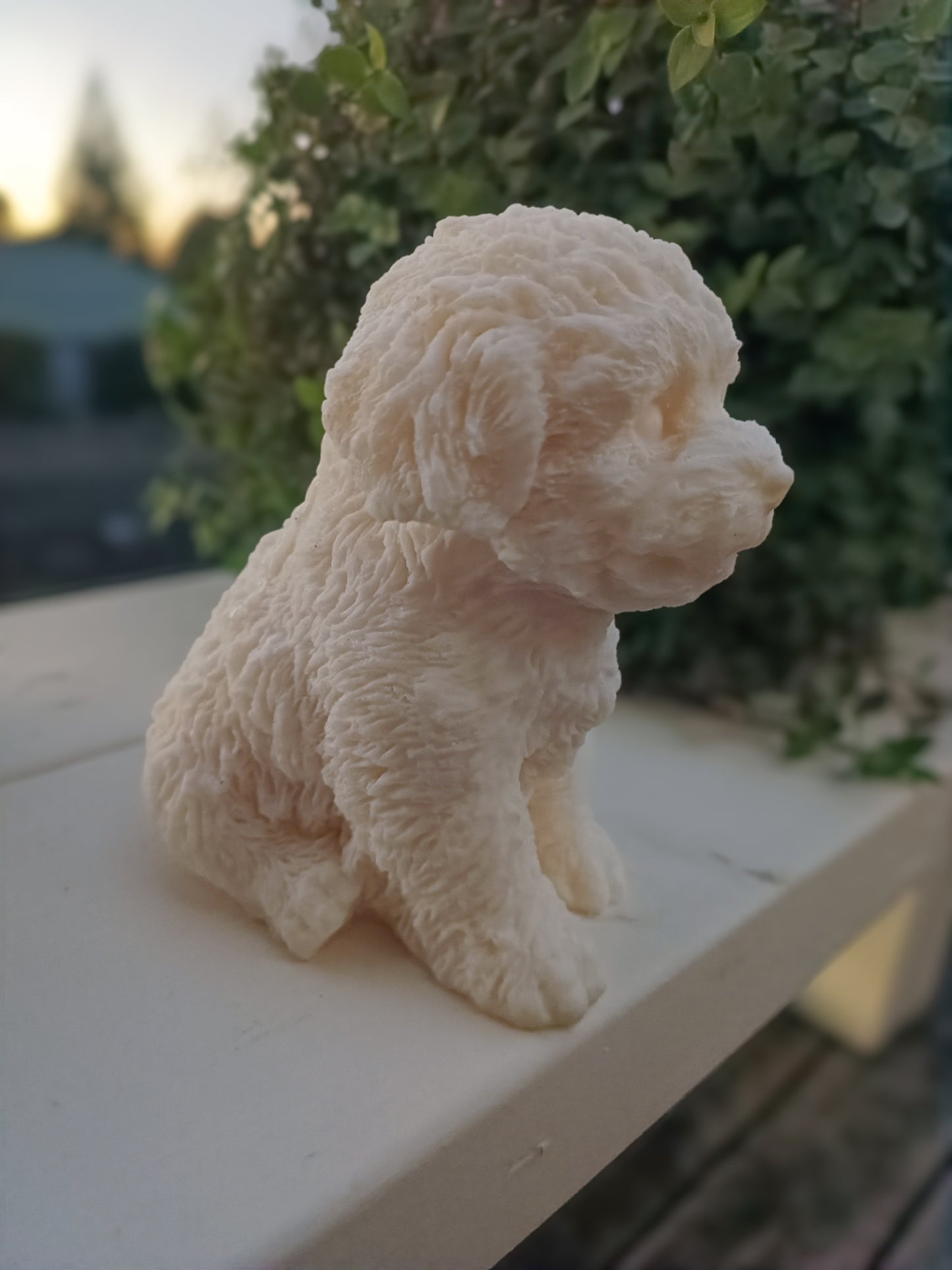 Buddy | Dog Sculpture Candle