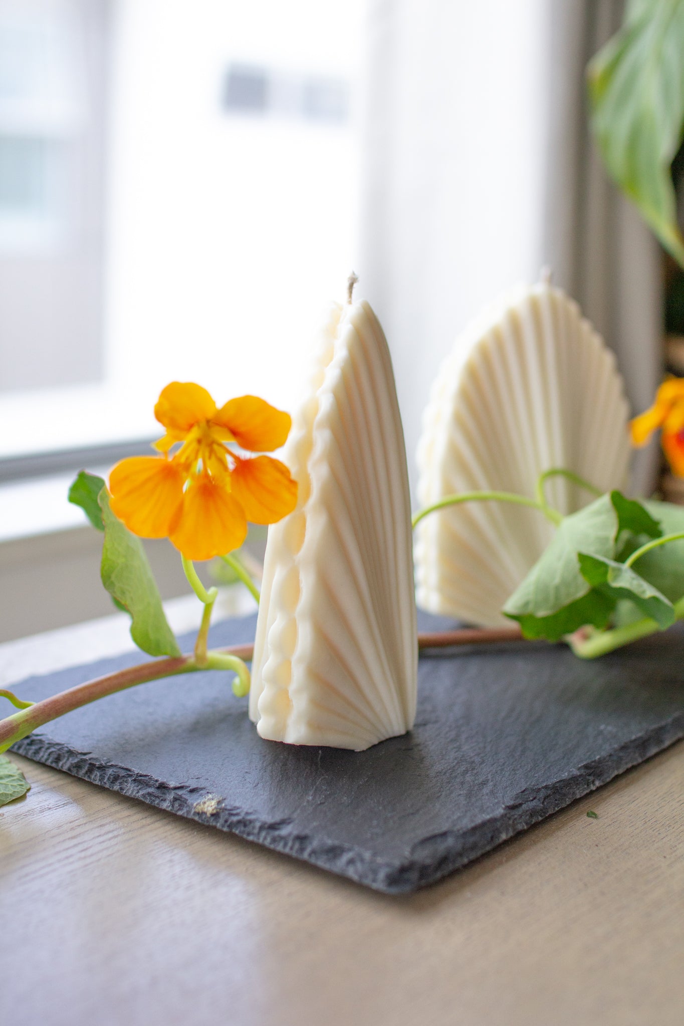 Shelly | Seashell Shaped Candle