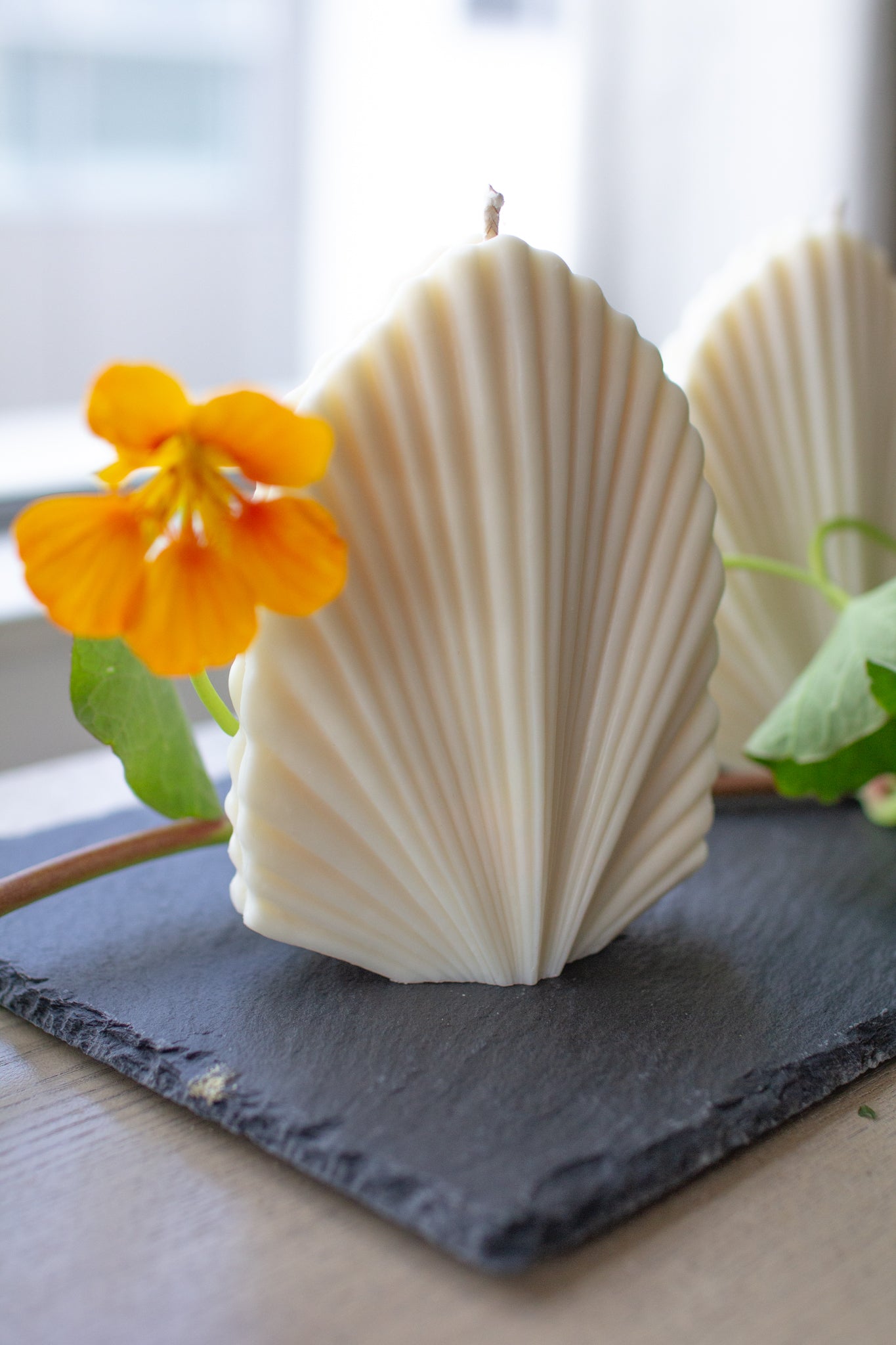 Shelly | Seashell Shaped Candle