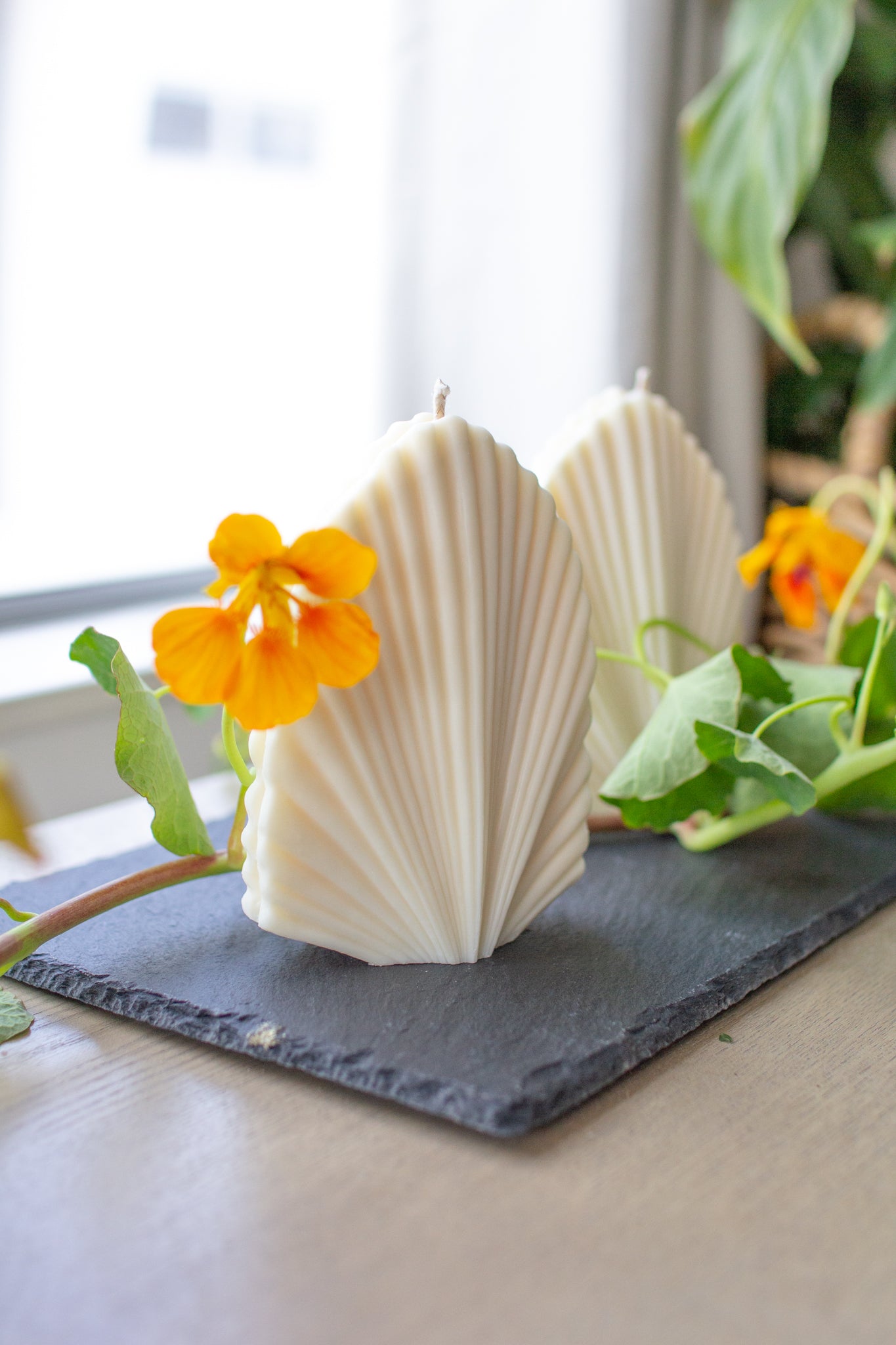 Shelly | Seashell Shaped Candle
