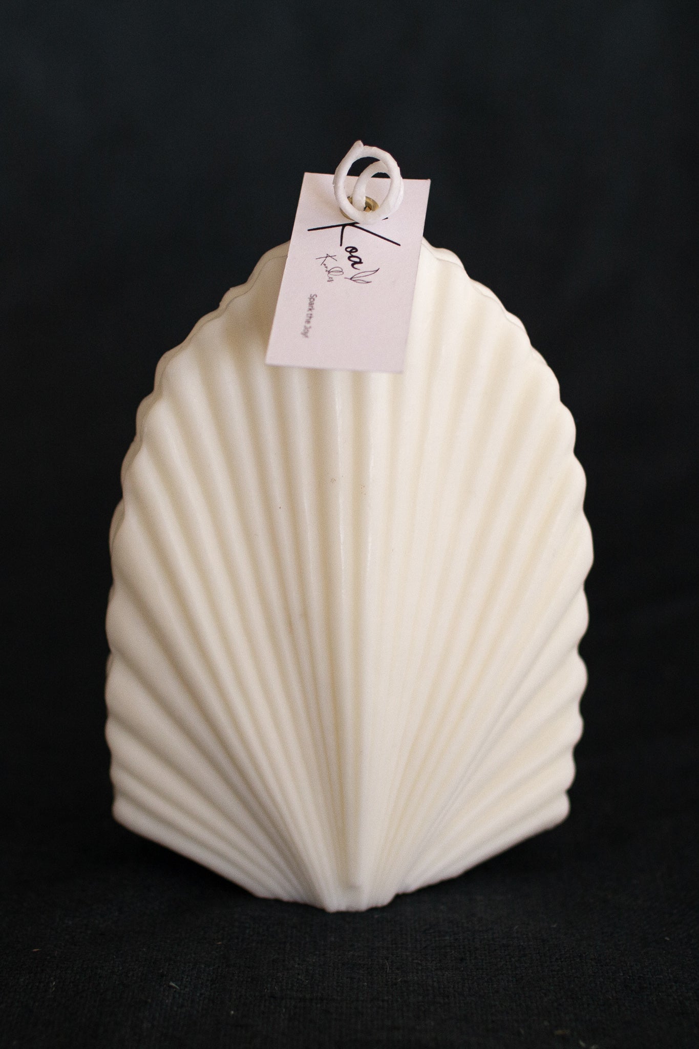 Shelly | Seashell Shaped Candle