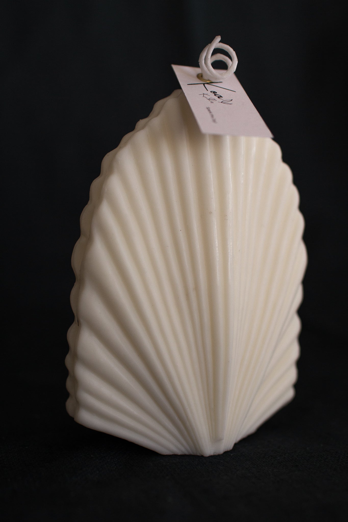Shelly | Seashell Shaped Candle