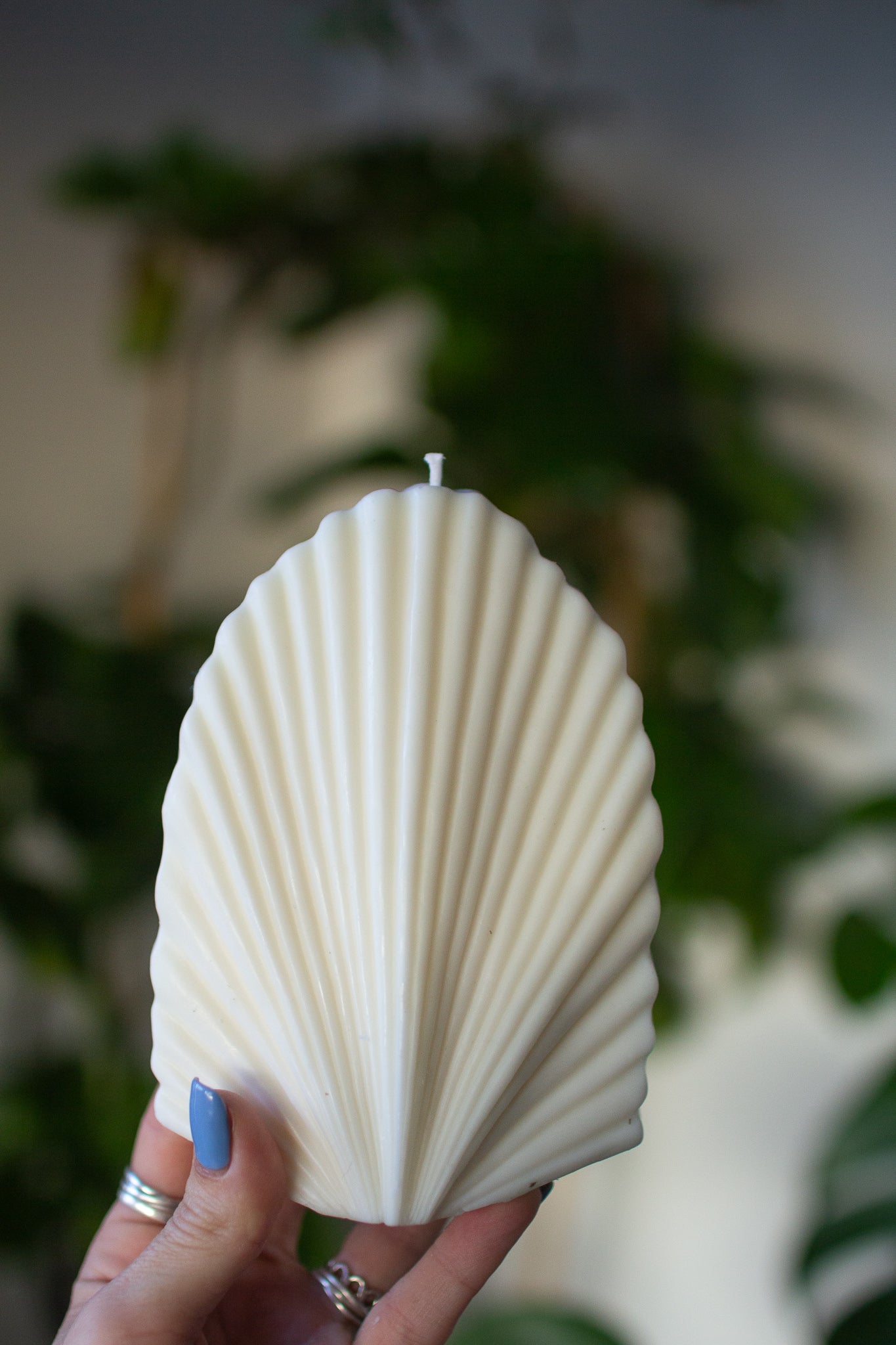 Shelly | Seashell Shaped Candle
