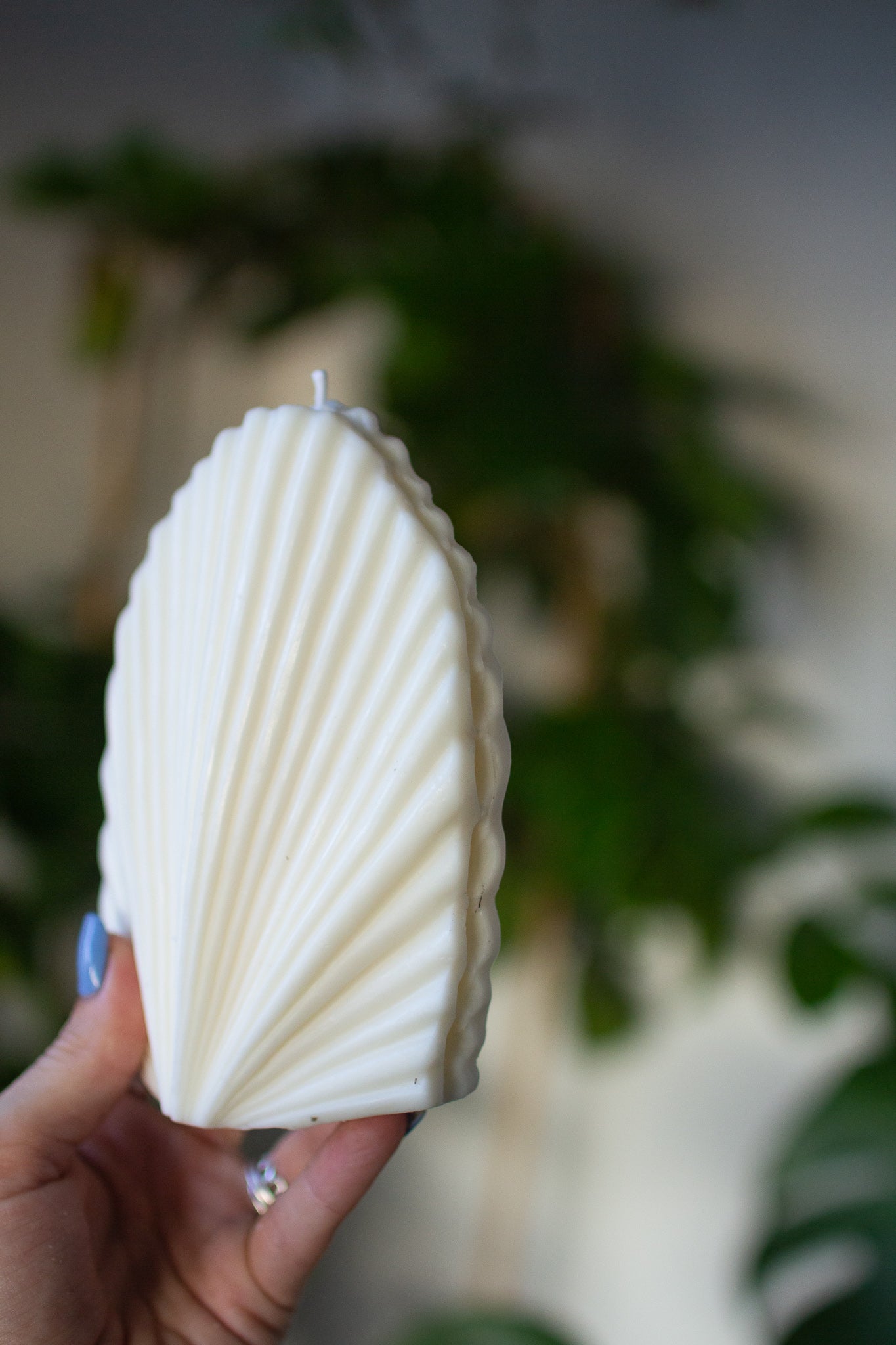 Shelly | Seashell Shaped Candle
