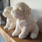 Buddy | Dog Sculpture Candle