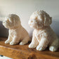 Buddy | Dog Sculpture Candle