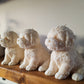 Buddy | Dog Sculpture Candle