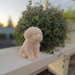 Buddy | Dog Sculpture Candle