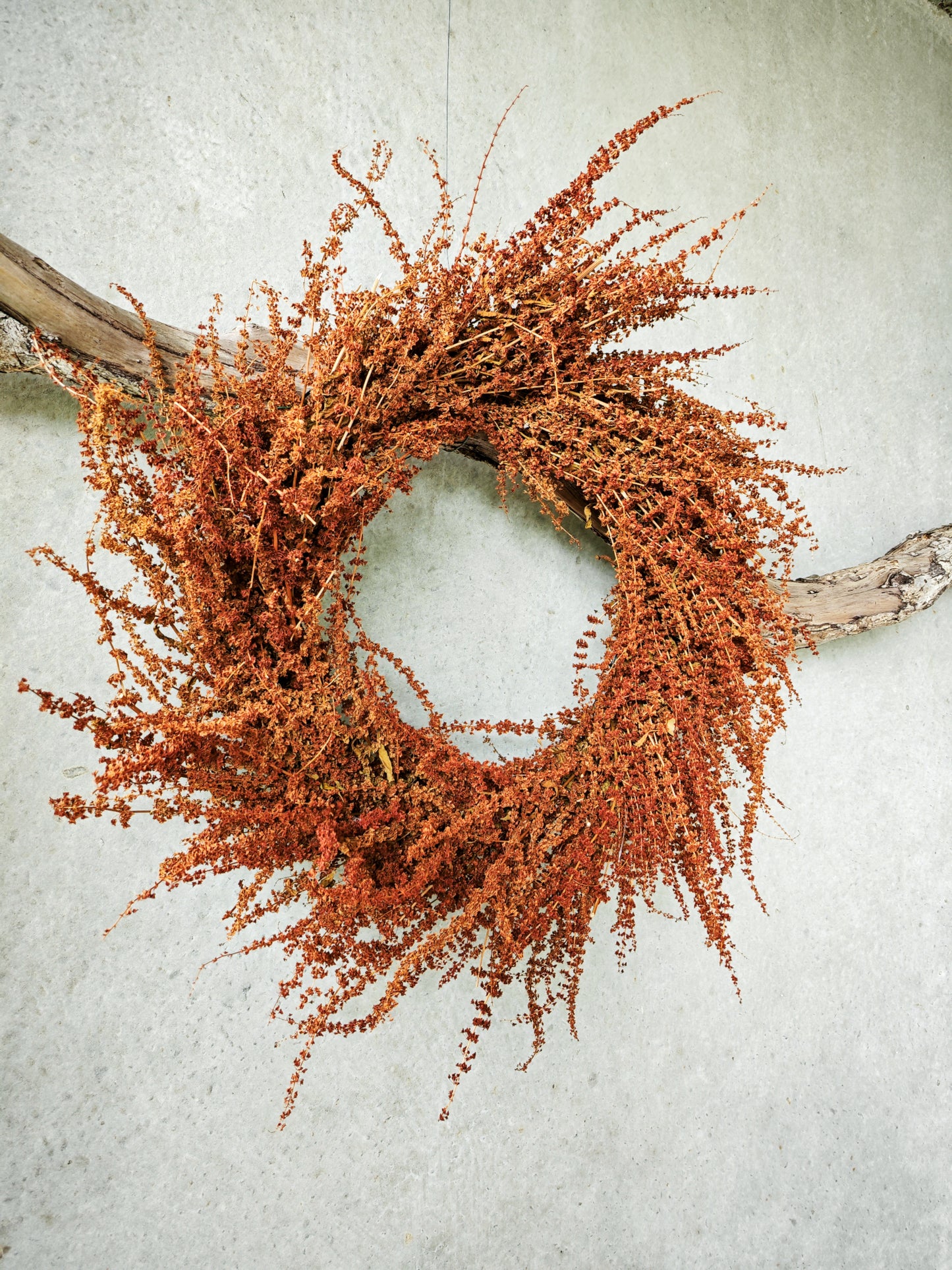 Decorative wreath made of dried red dock on a light grey background
