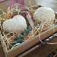 Zola Aloha Bundle Box