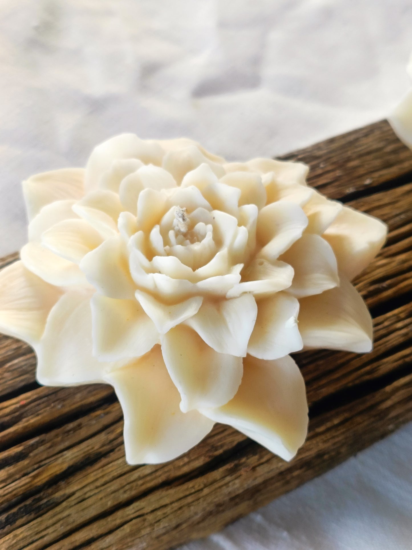 Camellia | Flower Sculpture Candle