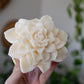 Camellia | Flower Sculpture Candle