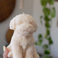 Buddy | Dog Sculpture Candle