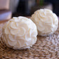 Zola  | Frangipani Flower Globe Candle