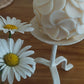 Zola  | Frangipani Flower Globe Candle