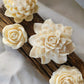Blooming Beauties Candle Bundle