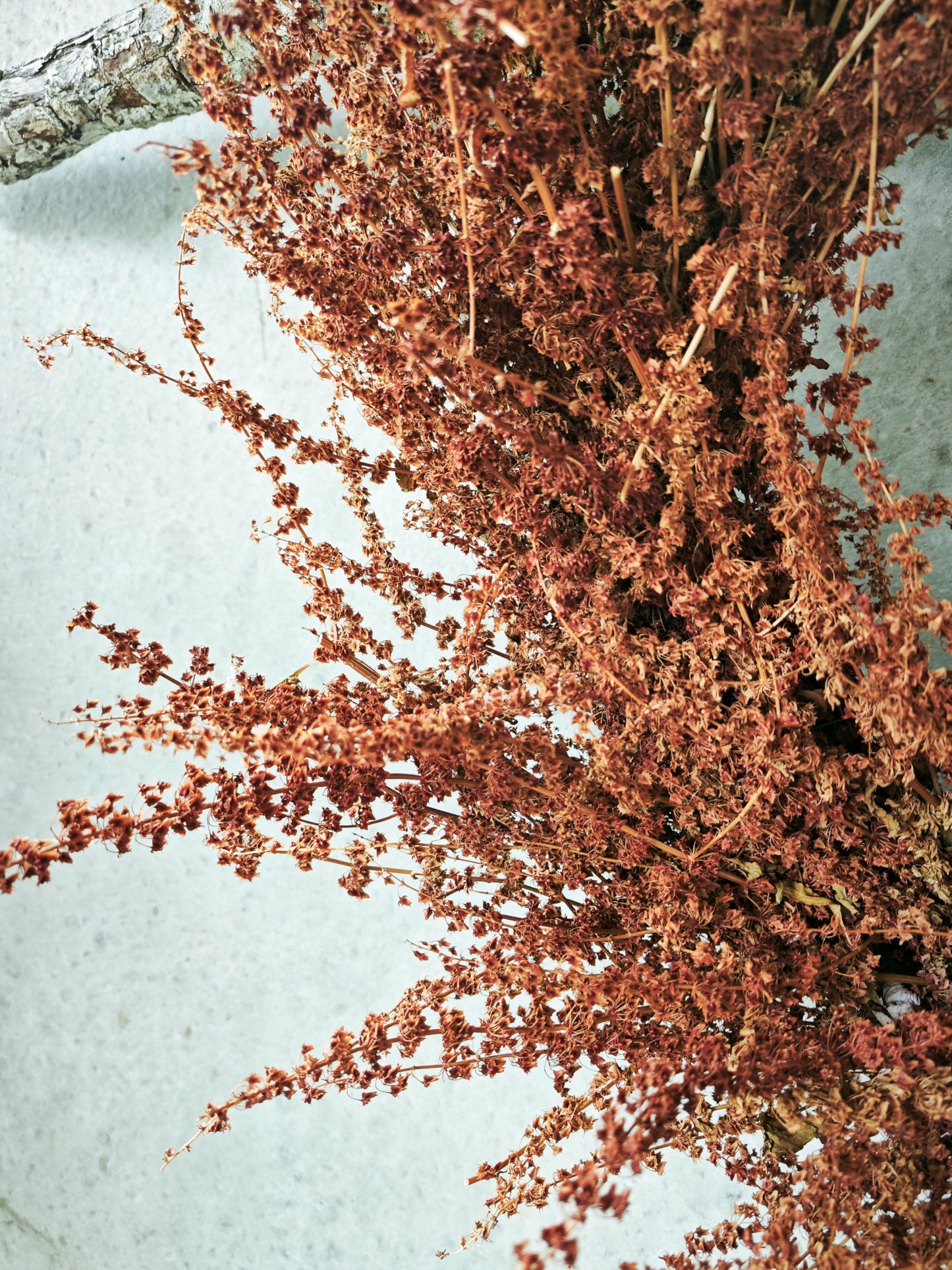 Natural Handmade Wreath | Dried Flower Christmas Wreath | Wild Flame