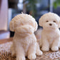 Buddy | Dog Sculpture Candle