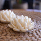 Lotus Flower| Sculpture Candle