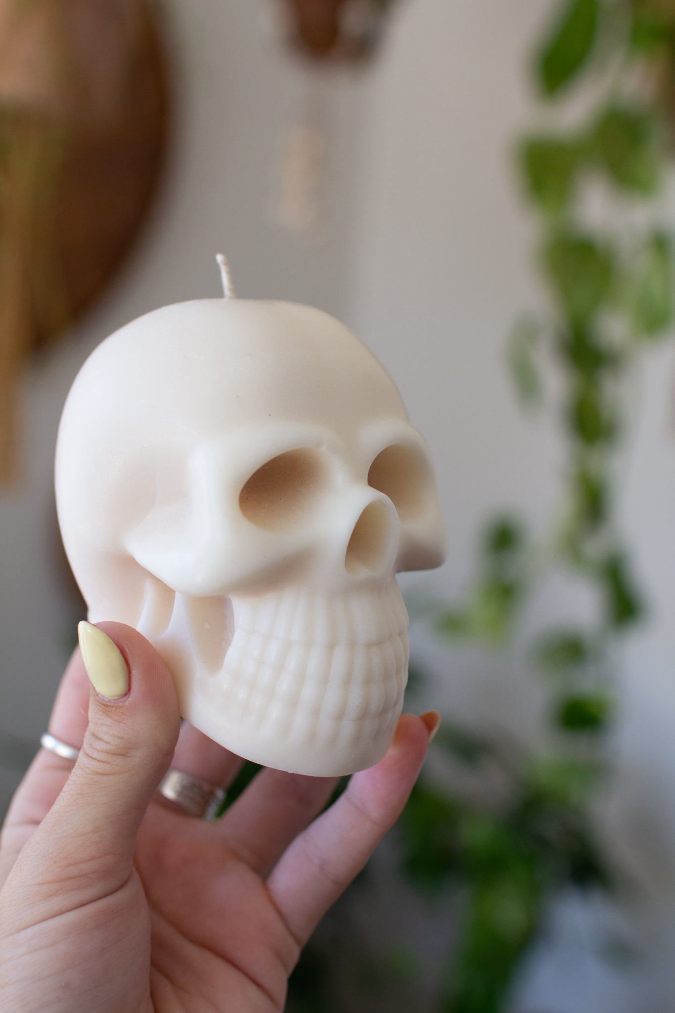 Skelly | Skull Sculpture Candle
