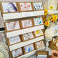 Blissful Burn Box | Soy Wax Melts & Tealights Gift Set